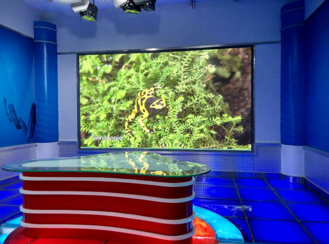 С�g��LED�@ʾ��